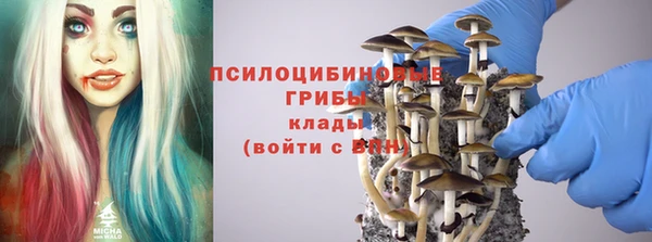 винт Новокубанск