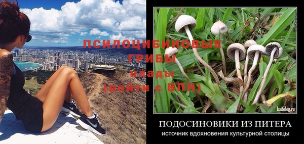 mix Новозыбков