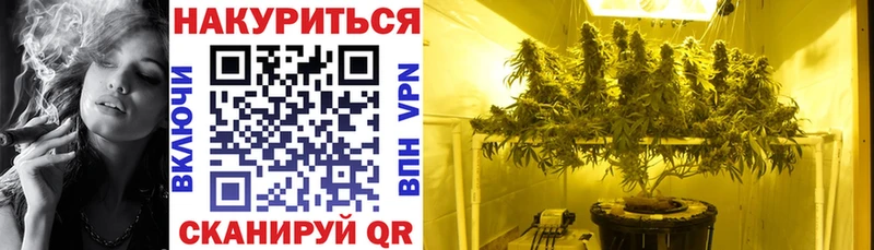 Конопля марихуана  Купить где  Тверь 